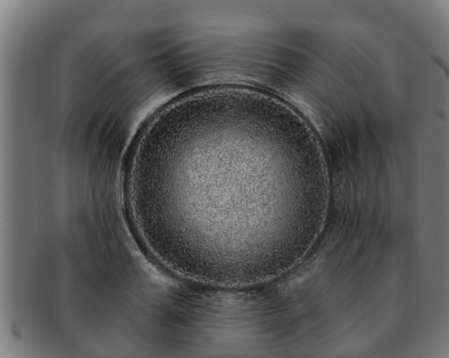 X0000091720987200708311134