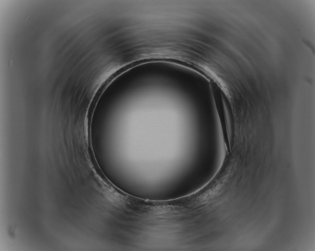 X0000091720988200708311134