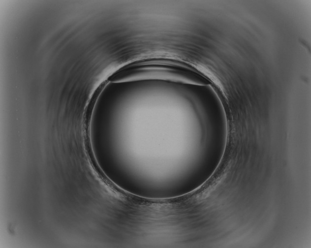 X0000091720989200708311134