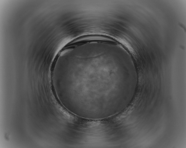 X0000091720990200708311134