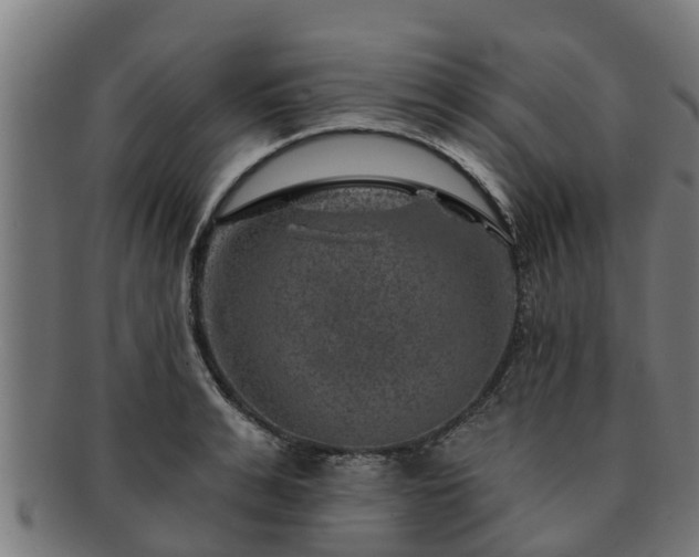 X0000091720991200708311134