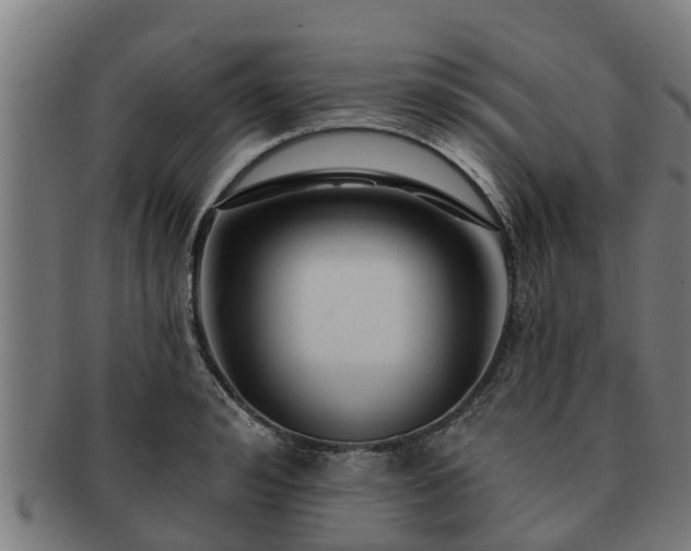 X0000091720992200708311134