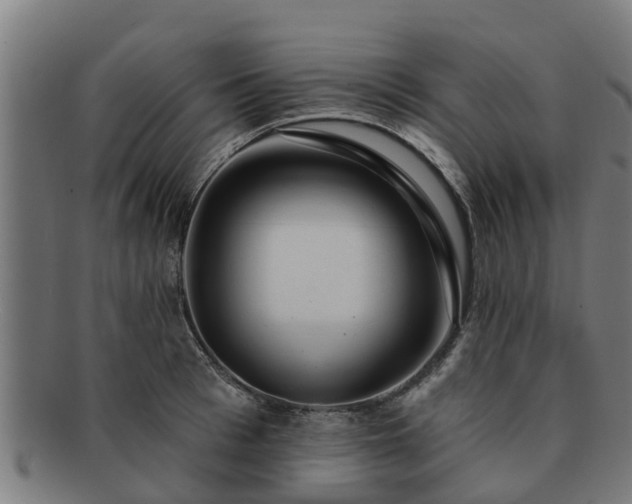 X0000091720993200708311134