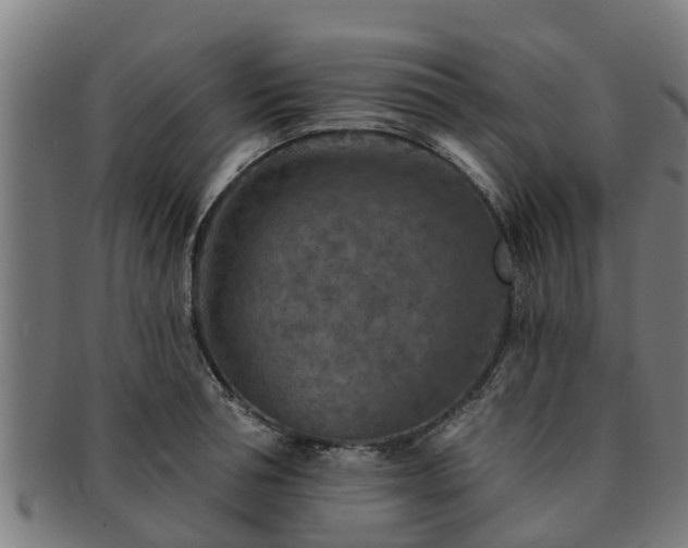 X0000091720994200708311134