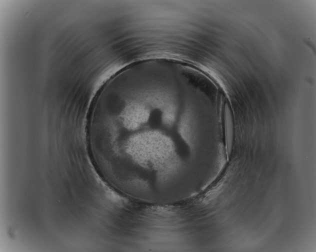 X0000091720995200708311134