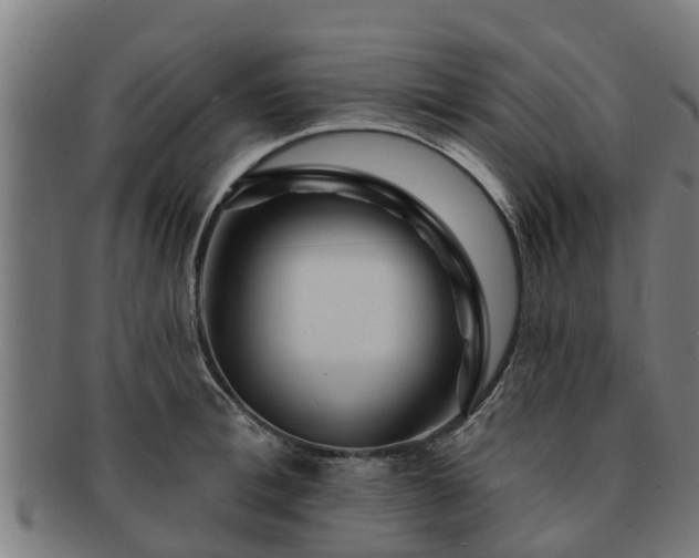 X0000091720996200708311134