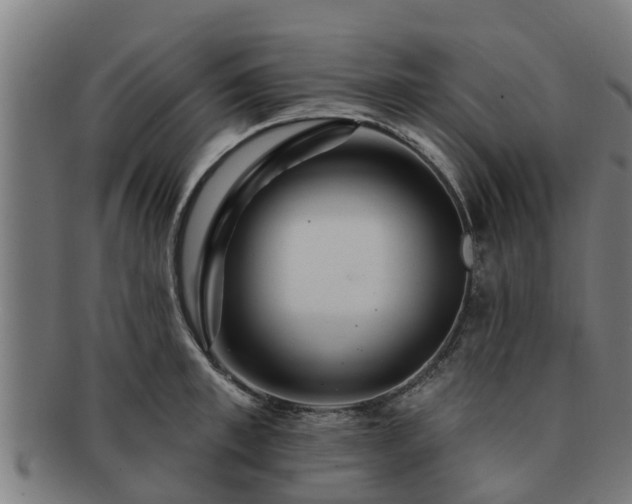 X0000091720997200708311134