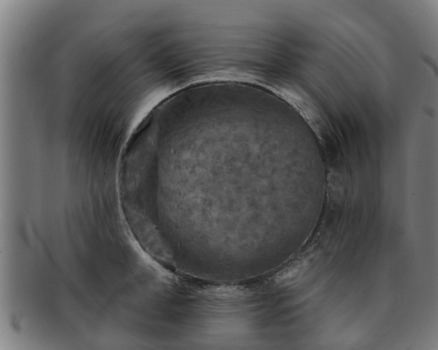 X0000091720998200708311134