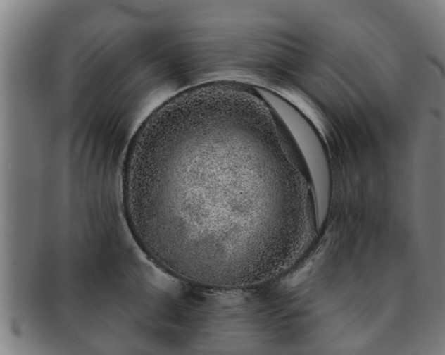 X0000091720999200708311134