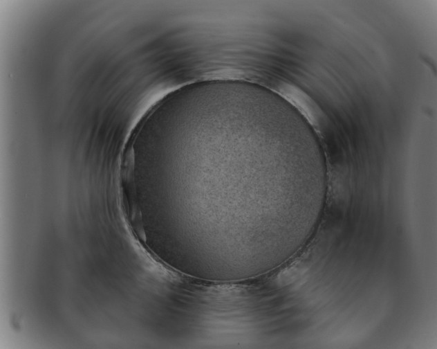 X0000091721000200708311134