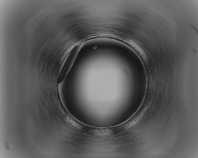 X0000091721001200708311134