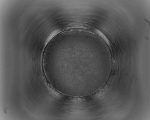 X0000091721002200708311134