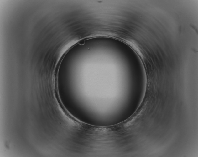 X0000091721003200708311134