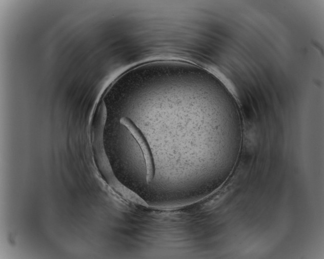 X0000091721004200708311134