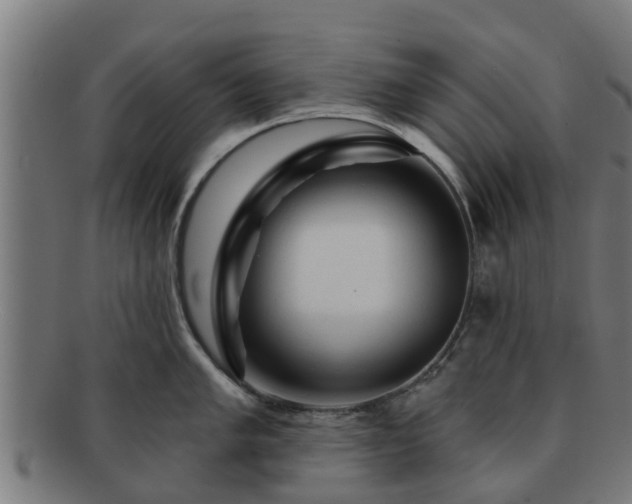 X0000091721005200708311134