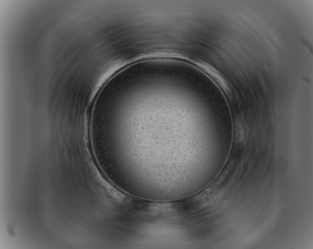 X0000091721006200708311134