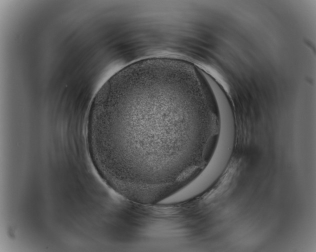 X0000091721007200708311134