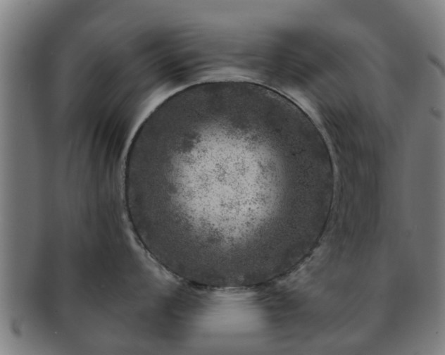 X0000091721008200708311134