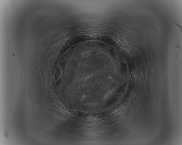 X0000091721009200708311133