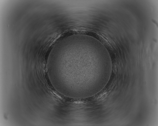 X0000091721010200708311133