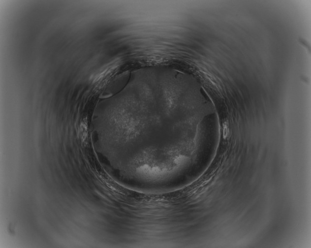 X0000091721011200708311133