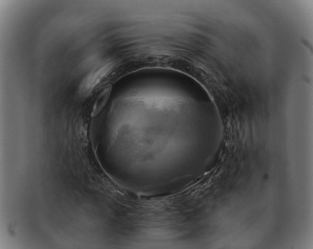 X0000091721013200708311133