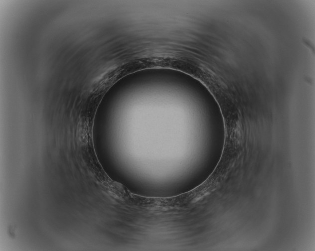 X0000091721014200708311133