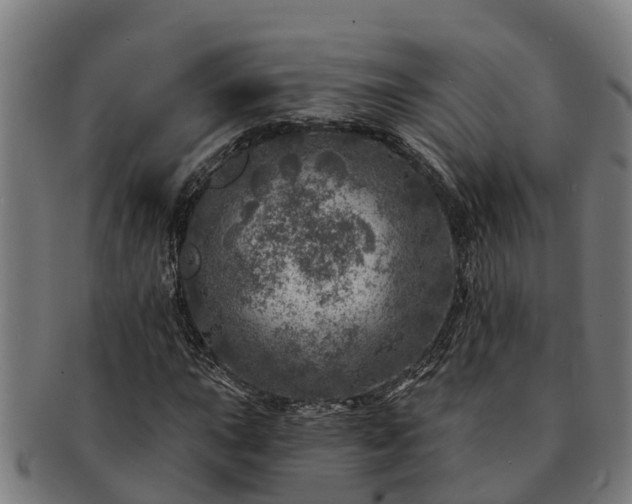 X0000091721015200708311133