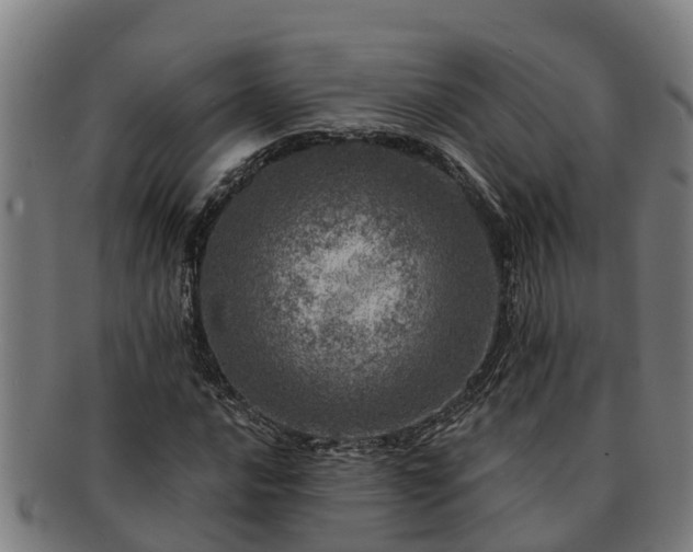 X0000091721016200708311133