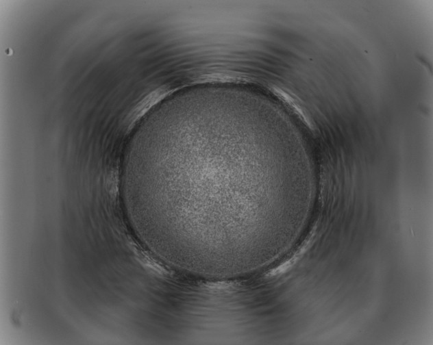 X0000091721017200708311133