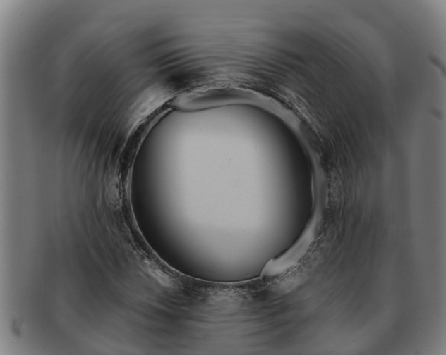 X0000091721018200708311133