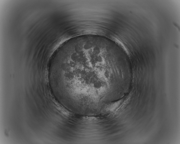 X0000091721019200708311133