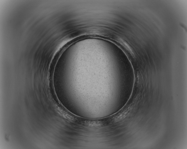 X0000091721020200708311133