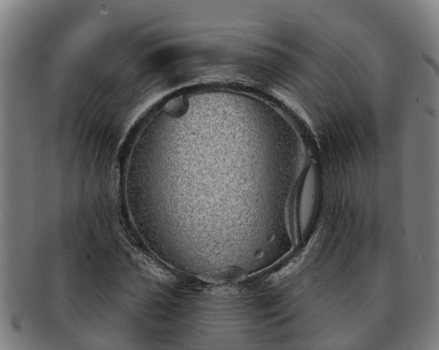 X0000091721021200708311133