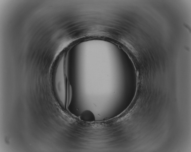 X0000091721022200708311133