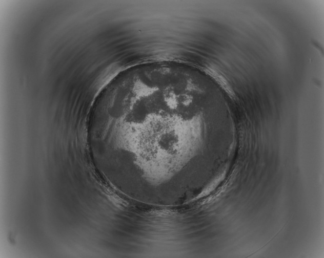 X0000091721023200708311133