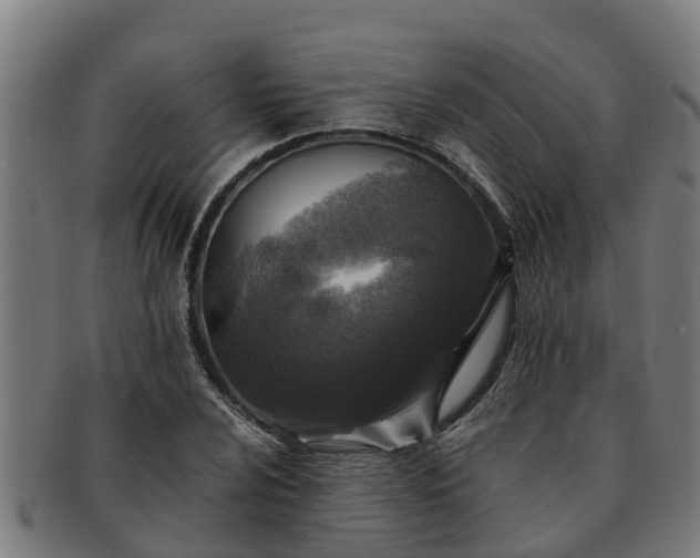 X0000091721024200708311133