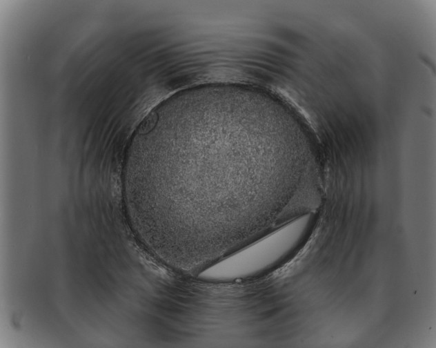 X0000091721025200708311133