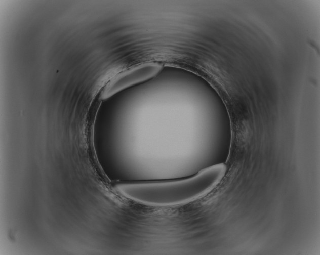 X0000091721026200708311133