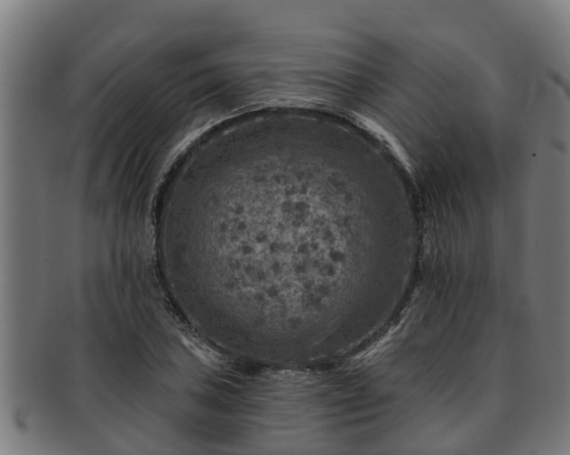 X0000091721027200708311133