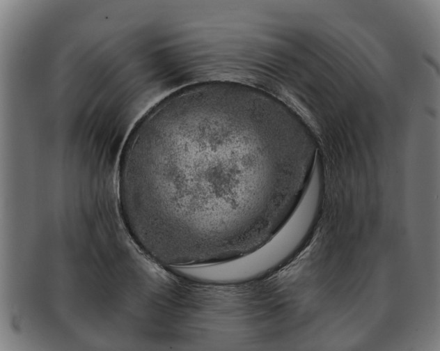 X0000091721028200708311133