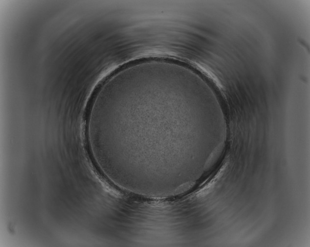 X0000091721029200708311134