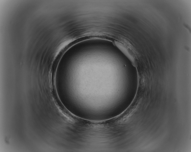 X0000091721030200708311134