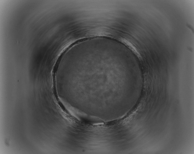 X0000091721031200708311134