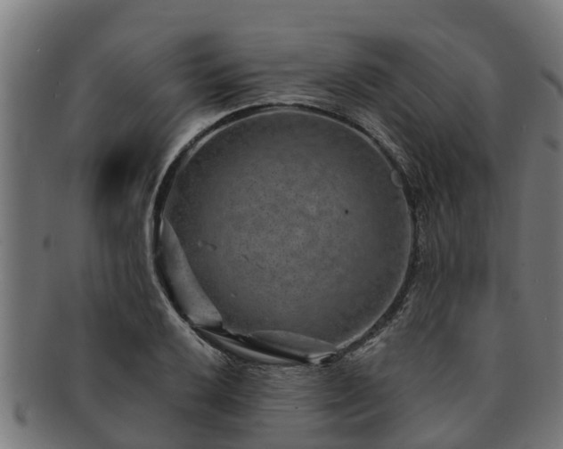 X0000091721032200708311134