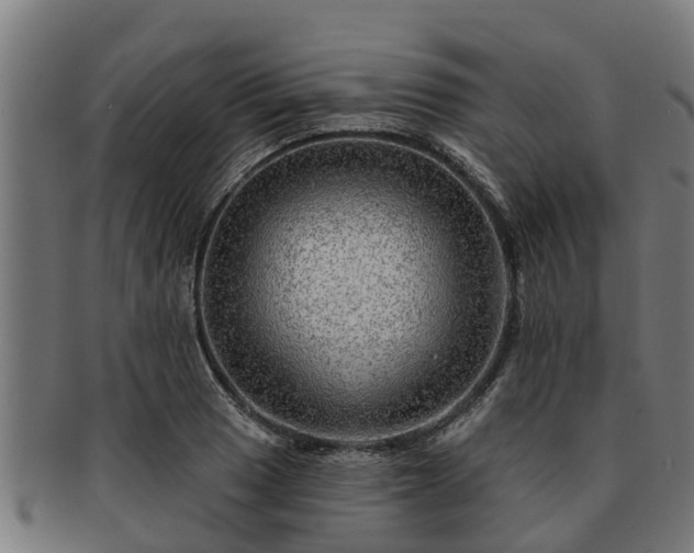 X0000091721033200708311134