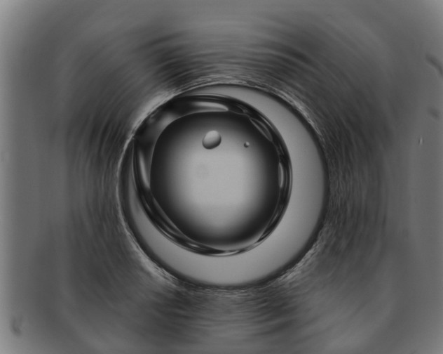 X0000091721034200708311134