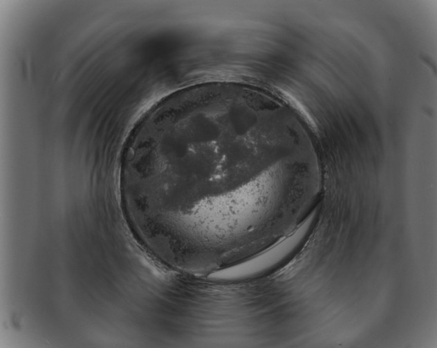 X0000091721035200708311134