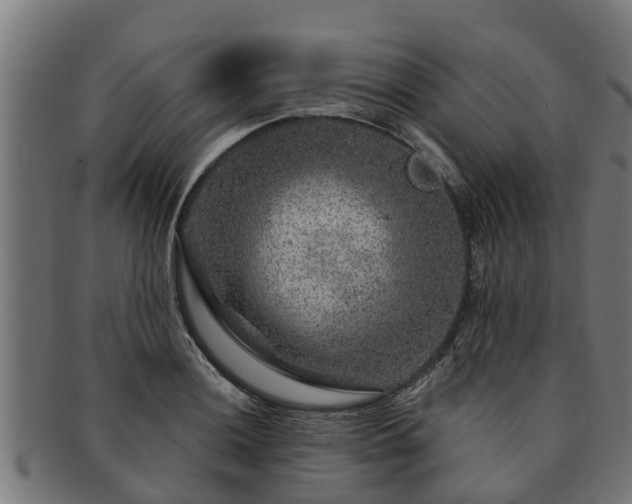 X0000091721036200708311134