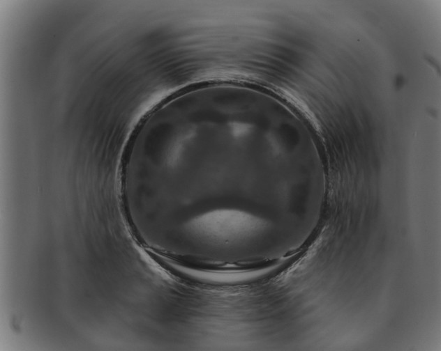 X0000091721037200708311134